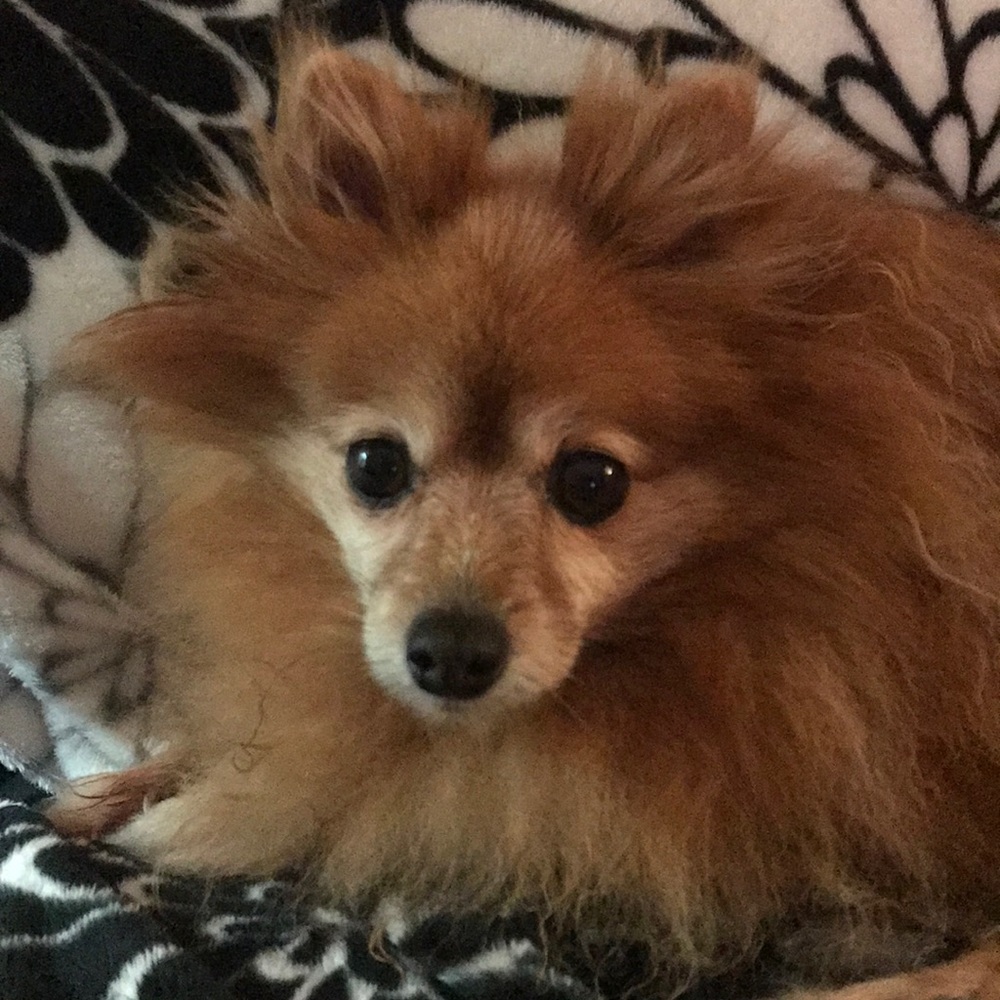 Meet your Posher, Marites